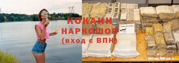 mdpv Гусев