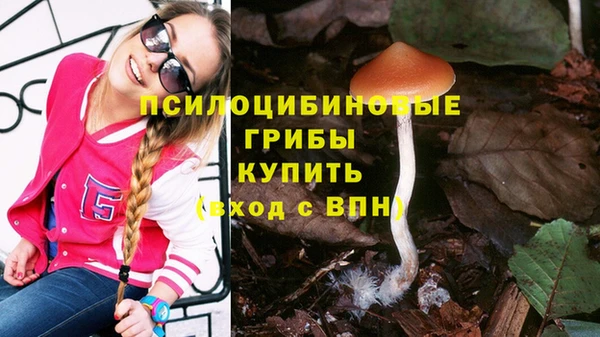 mdpv Гусев