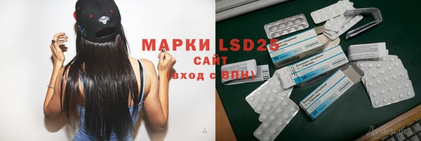 mdpv Гусев