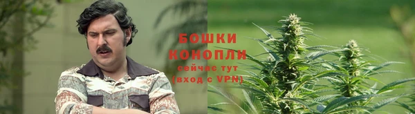 mdpv Гусев