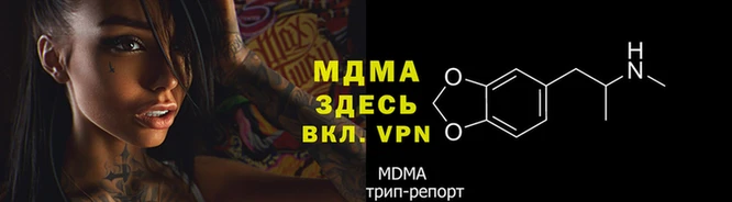 mdpv Гусев